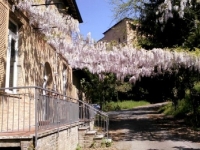 Immagine del Centro AMA