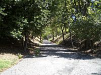 Il viale d'ingresso - Immagine 3