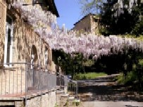 La biblioteca - Immagine 11