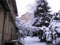 La biblioteca - Immagine 12